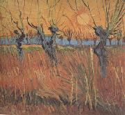 Vincent Van Gogh, Willows at Sunset (nn04)